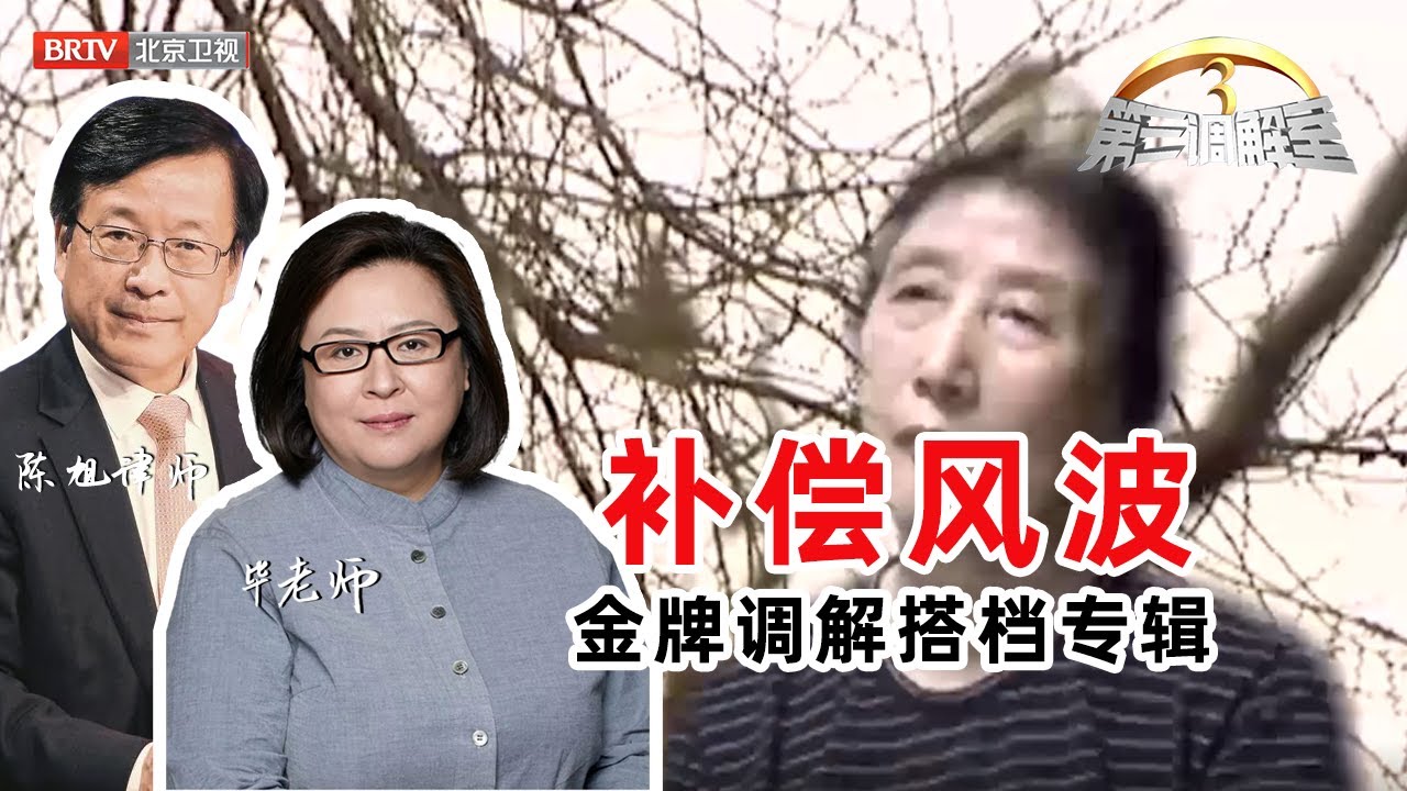 补偿风波《第三调解室》毕金仪老师、陈旭律师调解精选合辑 20170714| BRTV科教频道