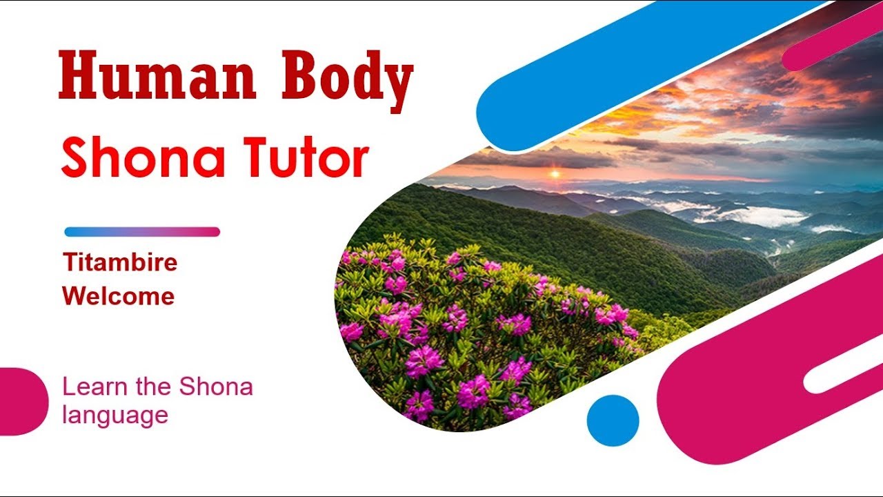 Shona Language Lesson 6 Human Body