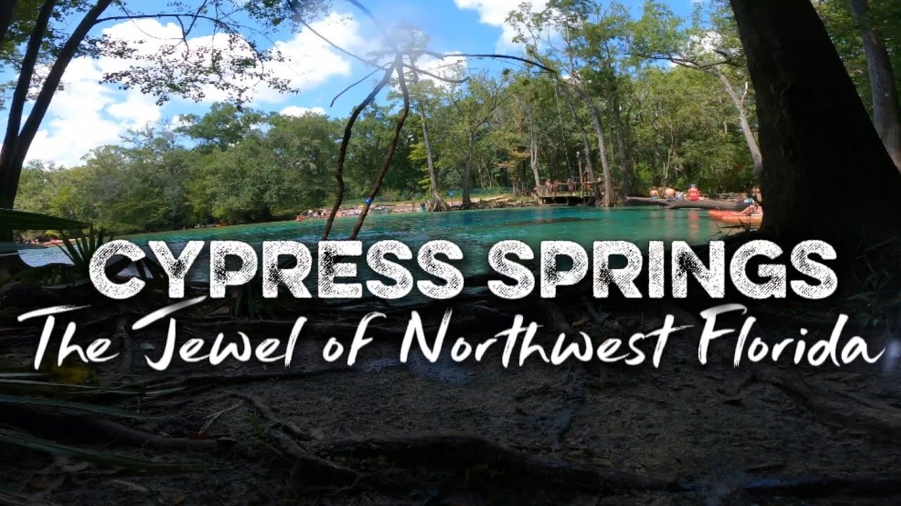 Skip the Beach! KAYAK Here!! Cypress Springs #FLORIDA