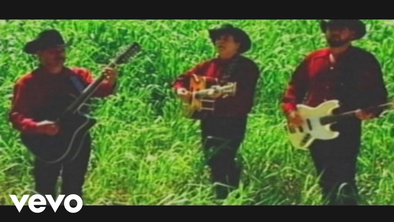 Miguel Y Miguel - Nido Ca&iacute;do