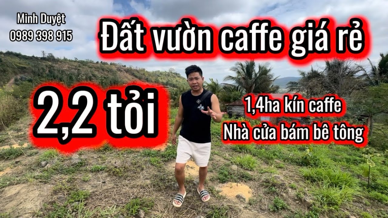 Lô 200| đất rẻ Dak Nông, Đắk Mil 2,2 tỏi 1ha4 vườn caffe bám bê tông. 