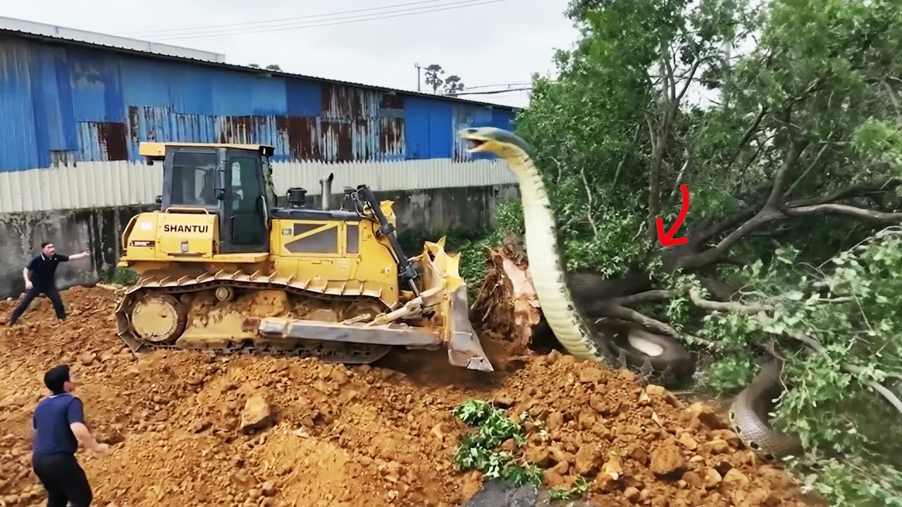 Incredible New Road Building Technology By Bulldozer SHANTUI Pouring Dirt, 24Ton Truck Delivery