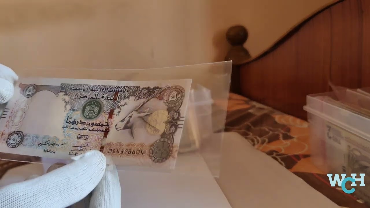Bank note collection Birds, elephant and polymer Unboxing@worldcurrencyhunt