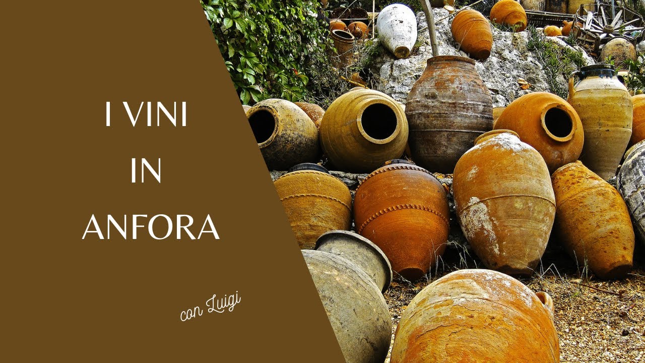 I vini in Anfora