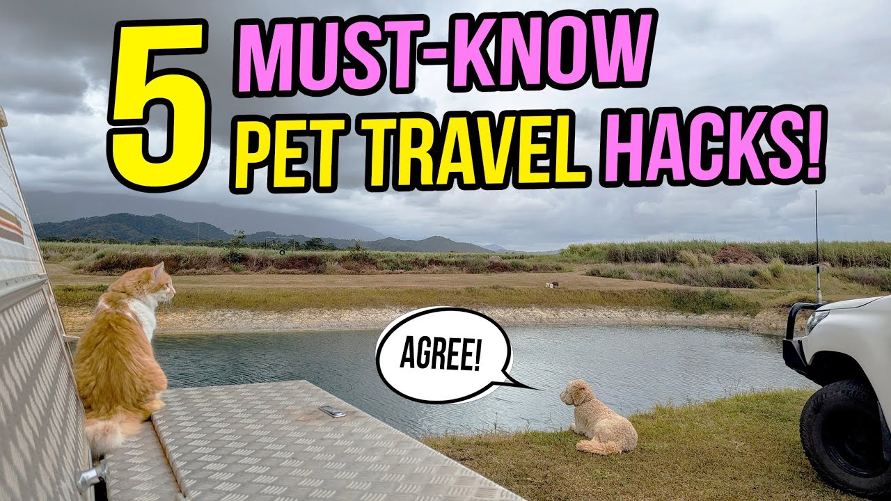Travels With Pets: What We Wish We Knew Sooner! | Caravanning Lap of Australia with Dog & Cat