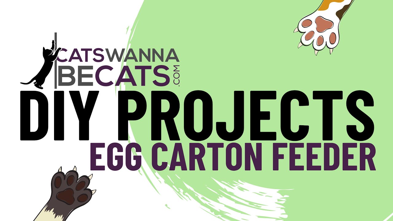 DIY Slow Feeder for Cats