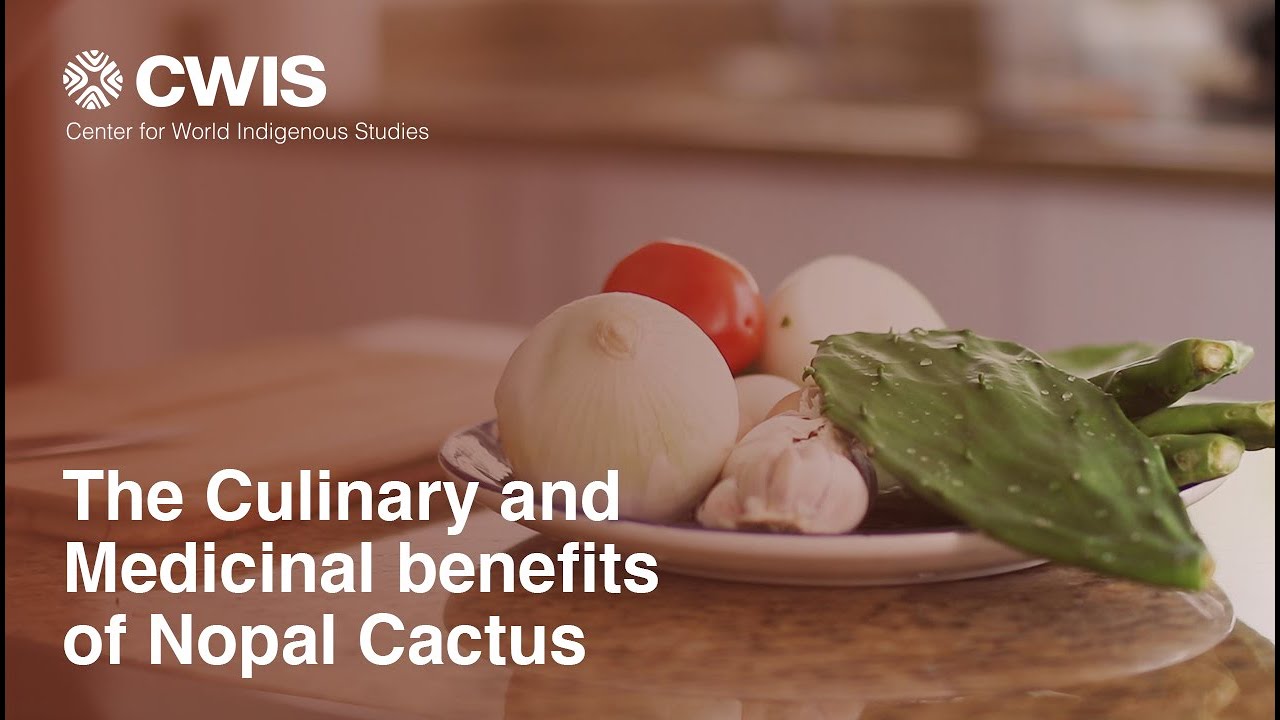The Culinary and Medicinal Benefits of Nopal Cactus