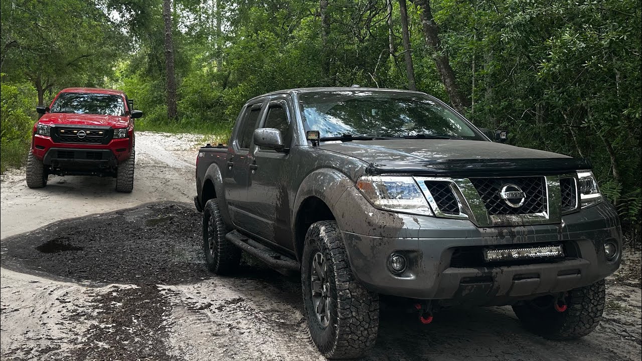 OFF-ROADING IN A DRY FLORIDA SWAMP