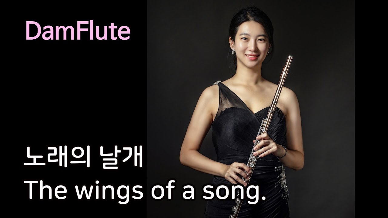 담플루트- 노래의 날개(the wings of a song)