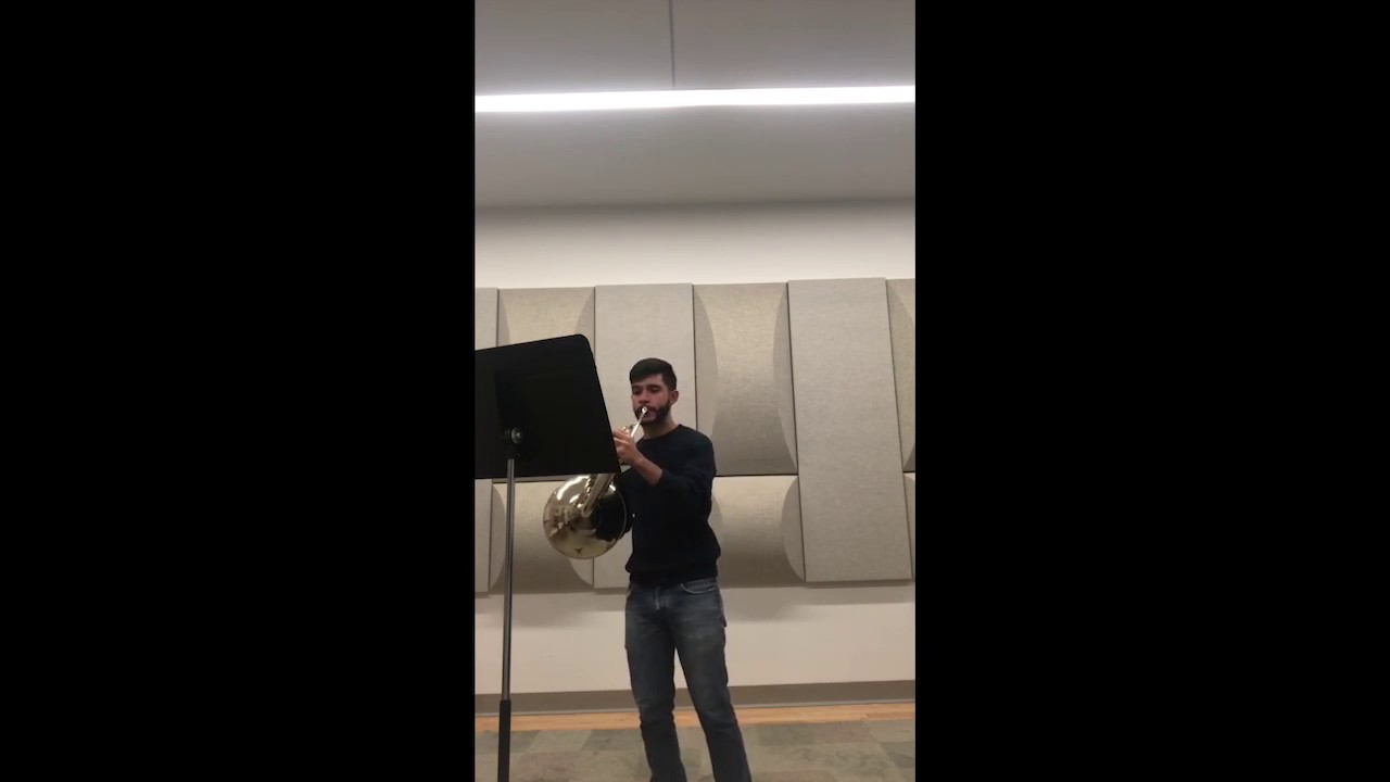 Alberto Arias-Miami Music Festival 2018 Audition (French horn)