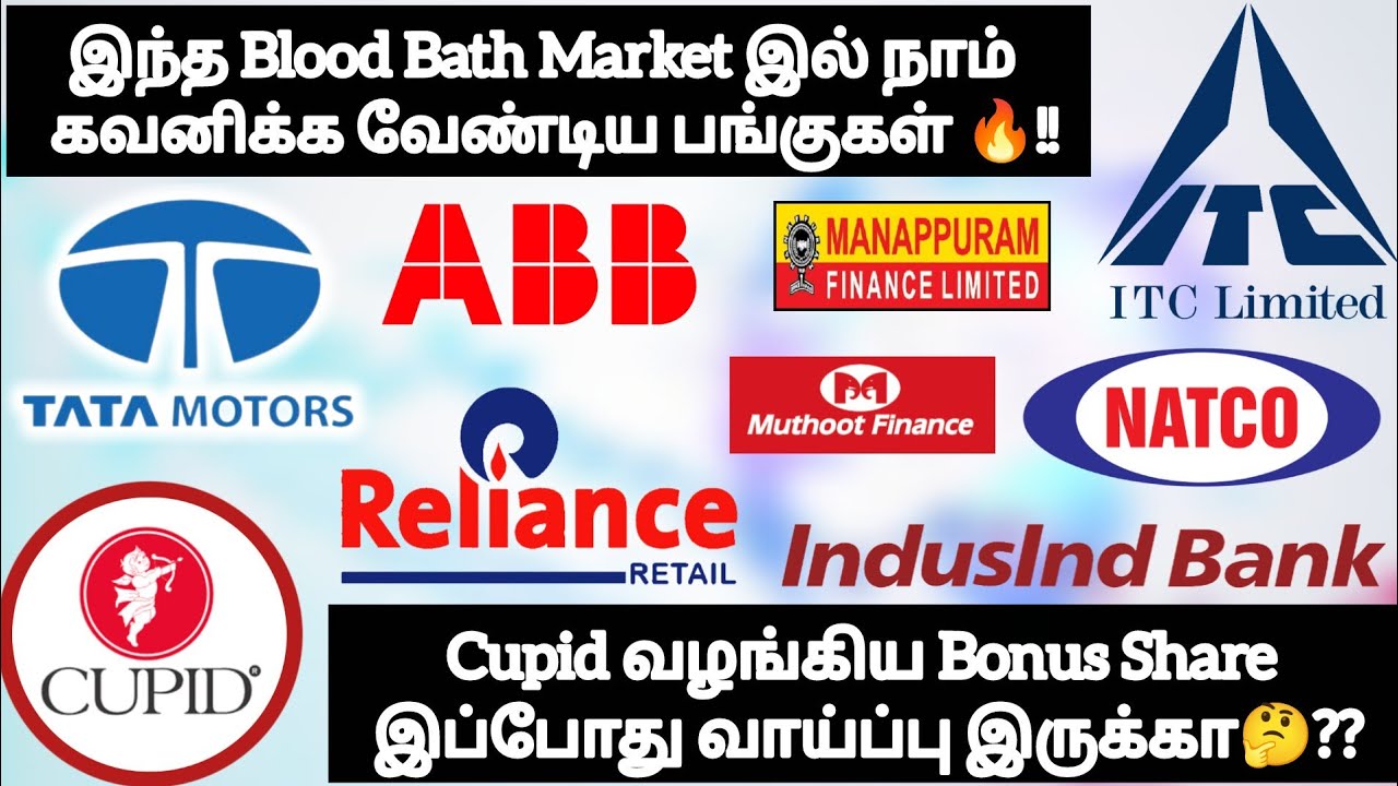 இந்த Blood Bath Market ல் நாம்  கவனிக்க வேண்டிய பங்குகள்❓Cupid வழங்கிய Bonus Share வாய்ப்பு இருக்கா❓