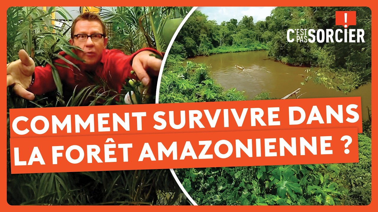 Comment survivre dans la forêt amazonienne ? - C'est pas sorcier