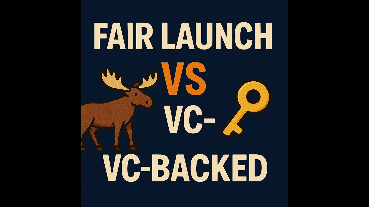 Fair Launch vs VC-Backed Models: Why $HAVE Got It Right 🫎 | DataHaven Explained