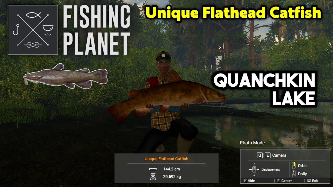 Unique Flathead Catfish Quanchkin Lake - Fishing Planet