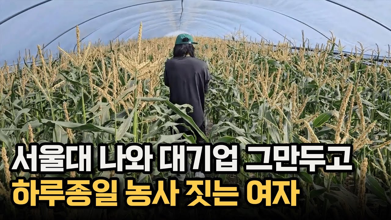 서울대 나와 대기업 그만두고 하루종일 농사 짓는 여자