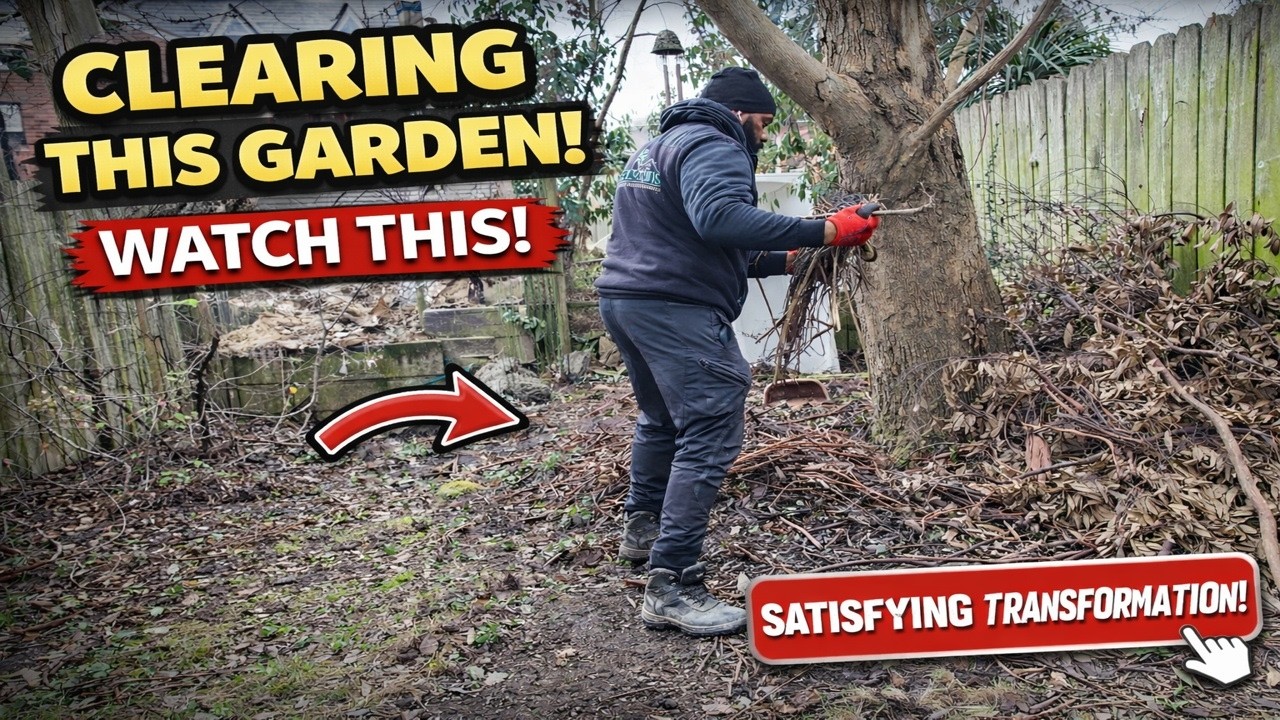 Satisfying Garden Clearance Transformation