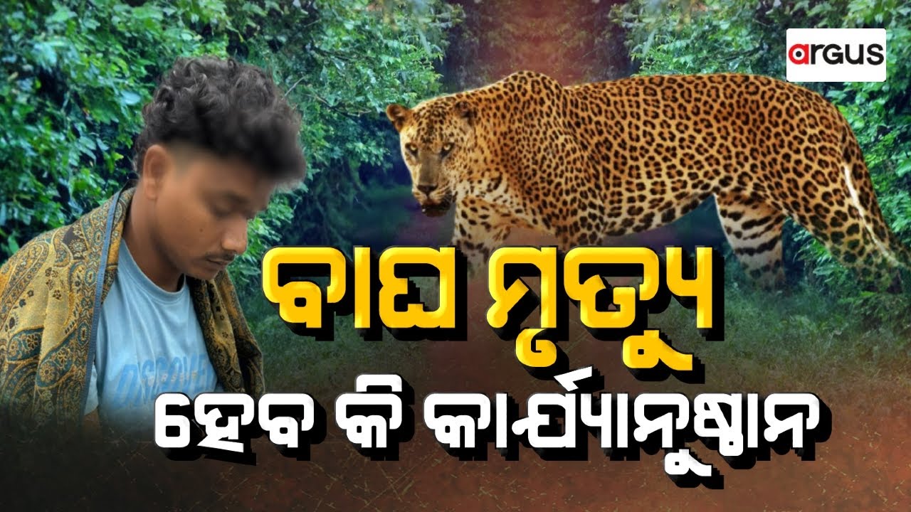 🔴Ajira Bitarka Live | ଆଜିର ବିତର୍କ : ବାଘ ମୃତ୍ୟୁ ହେବ କି କାର୍ଯ୍ୟାନୁଷ୍ଠାନ | Tiger Death | Argus News
