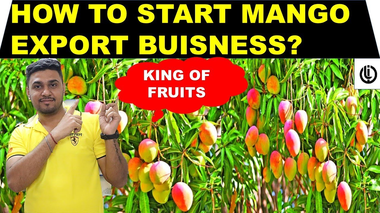 HOW TO START MANGO EXPORT BUSINESS IN INDIA | #LOYAUTEIMPORTEXPORTS#VIKASKHATRI#EXPORT#MANGO#INDIA