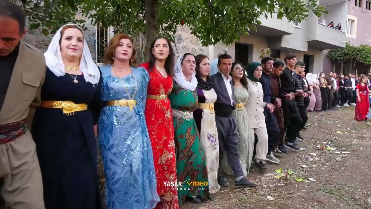 Songül & Erdem Aydın Düğünü Uludere Bulakbaşı Part 4