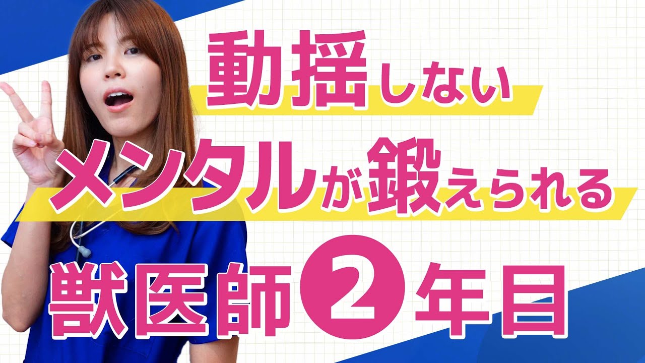 獣医師2年目は夜間救急に手術と学ぶことが目白押し！メンタル鍛えられる1年に&hellip;