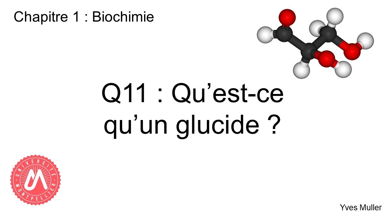 Chapitre 1 : Biochimie - Q11 : Qu'est-ce qu'un glucide ?