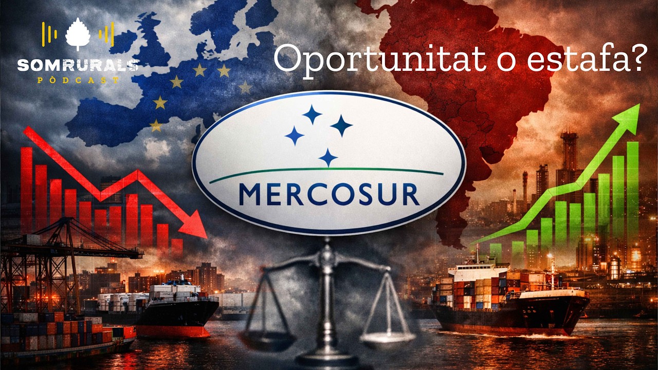 Mercosur: oportunitat o estafa?