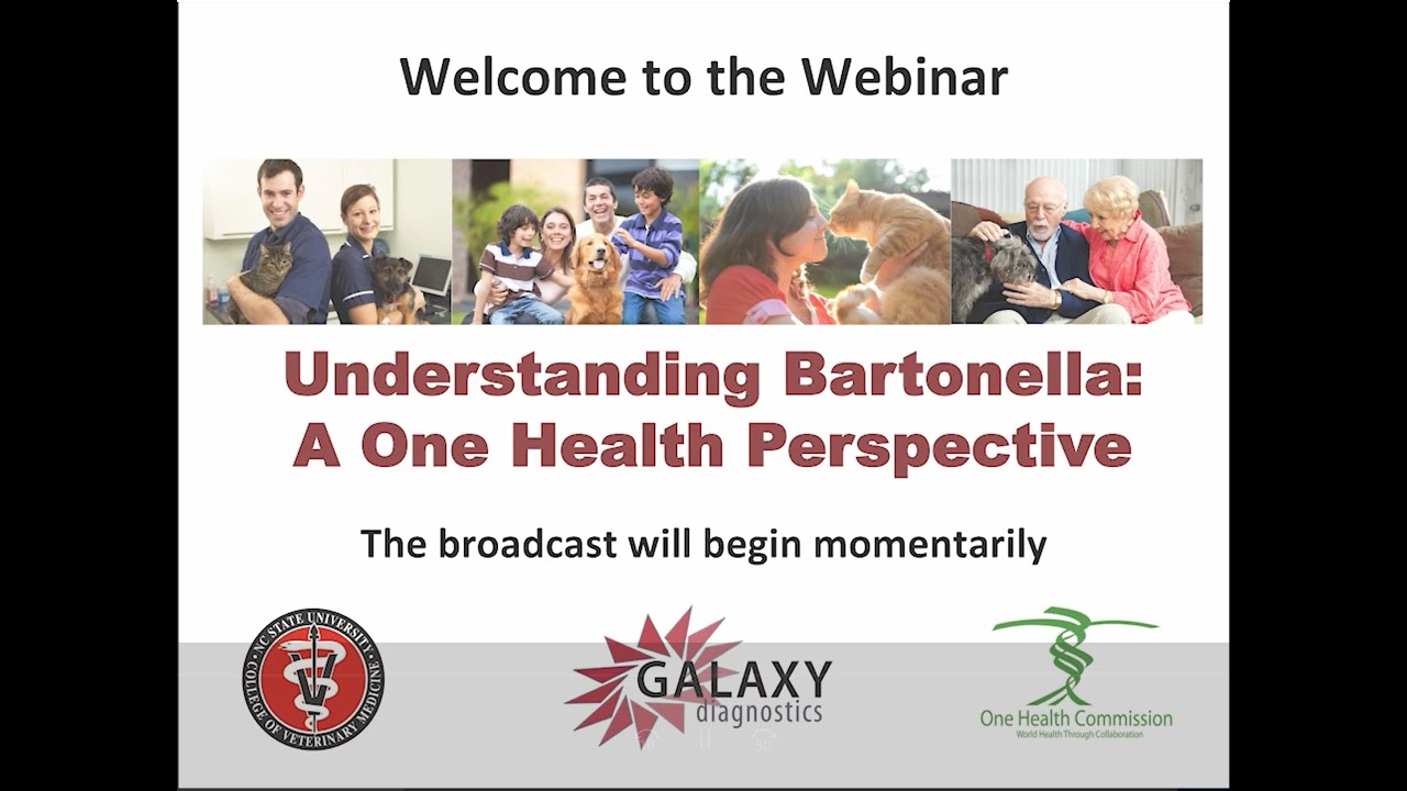 Understanding Bartonella Webinar_Edited