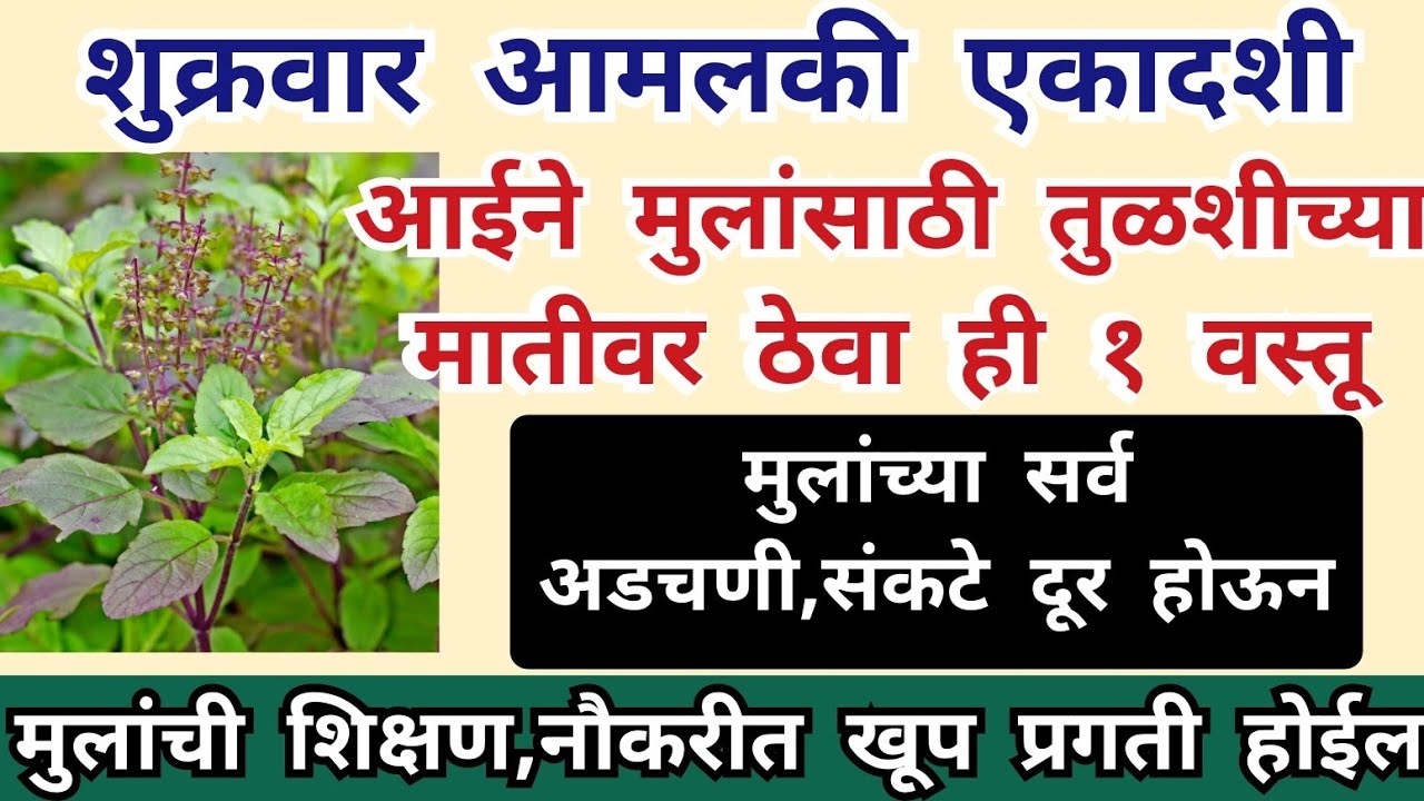 शुक्रवार आमलकी एकादशी आईने मुलांसाठी तुळशीच्या मातीवर ठेवा ही १ वस्तू मुलांच्या सर्व अडचणी,संकटे दूर