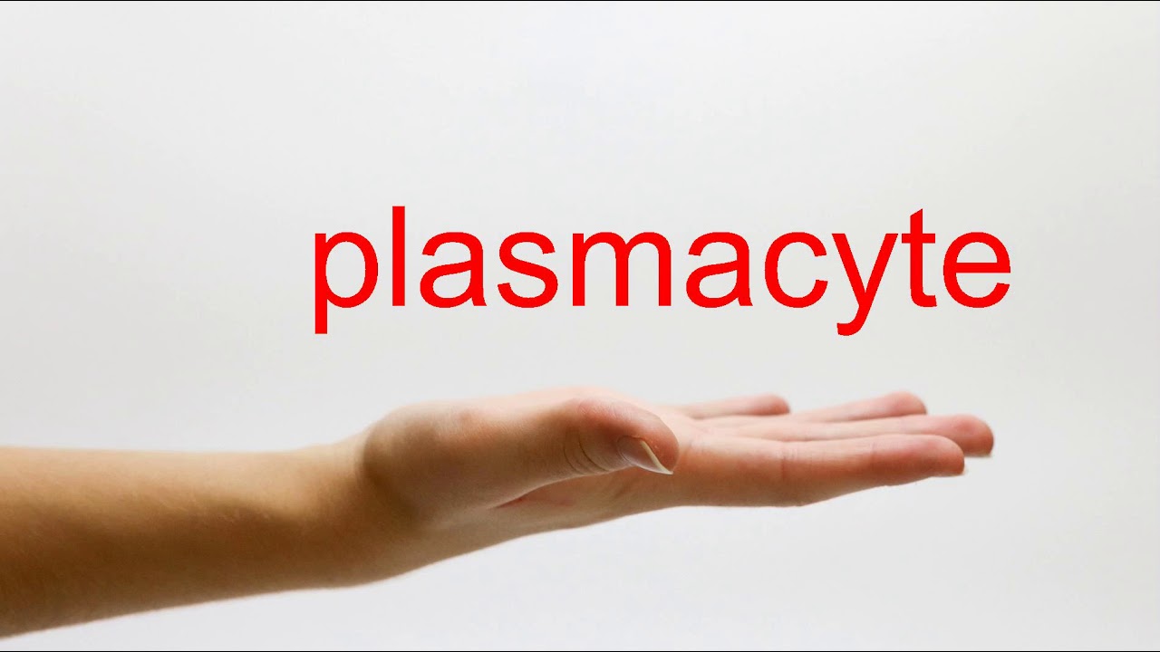 How to Pronounce plasmacyte - American English