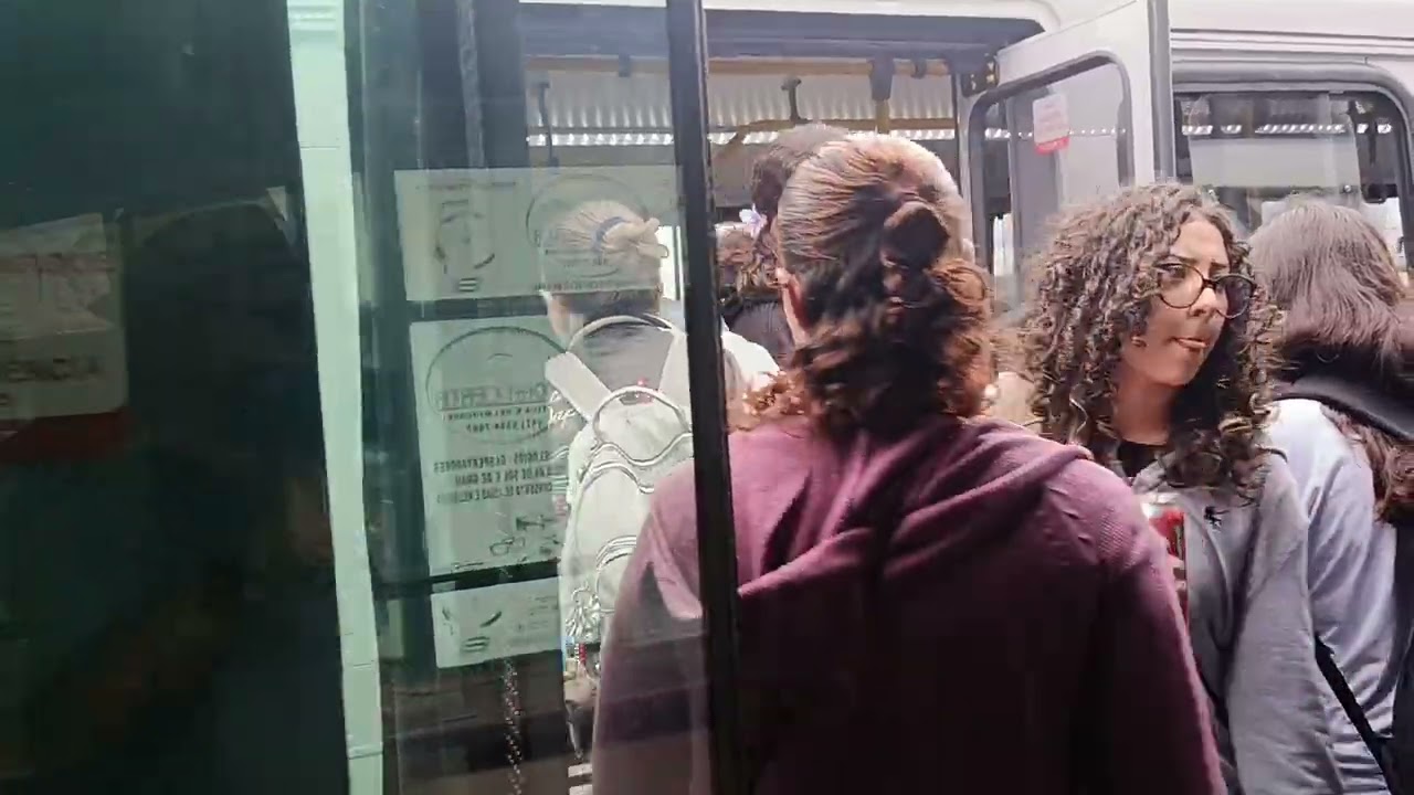 Atenção pra este vídeo você quer conhecer onde o ratinho junho trabalhar, de São José até 