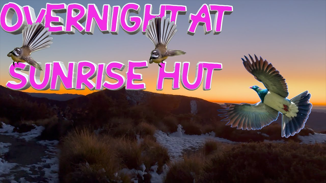 Overnight Tramp To Sunrise Hut