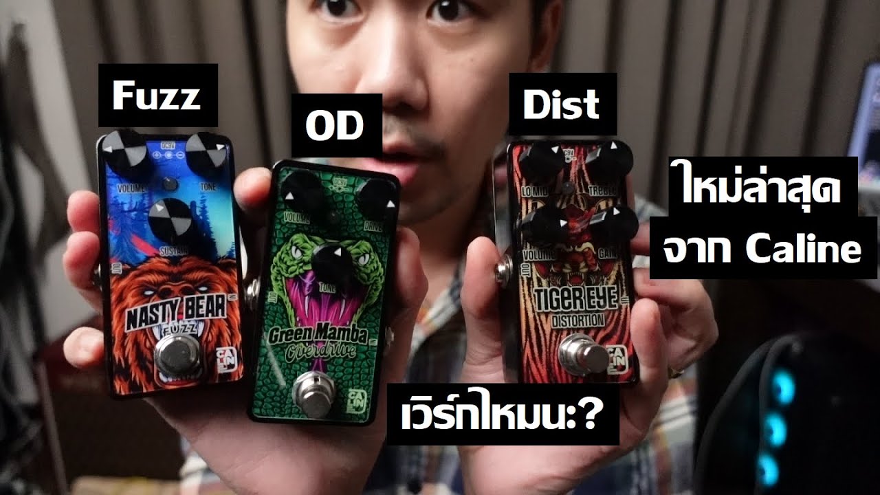 Caline Nasty Bear Fuzz, Green Mamba OD, Tiger Eye Dist : มาลองกันดู