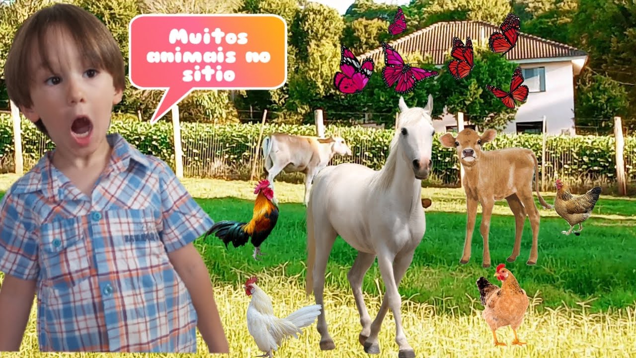Cavalo Vaca Galinha e futebol na fazenda | horse Cow