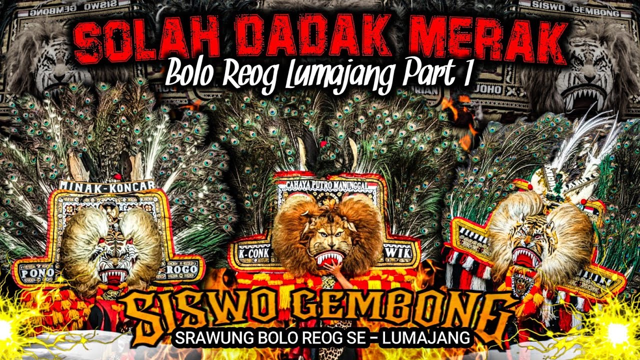 JOS JIS ! SOLAH DADAK MERAK BOLO REOG LUMAJANG PART 1 DI ACARA HAJATAN SISWO GEMBONG 2025 