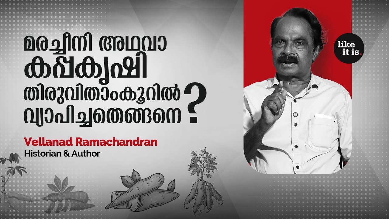 മരച്ചീനി അഥവാ കപ്പകൃഷി തിരുവിതാംകൂറിൽ വ്യാപിച്ചതെങ്ങനെ? Vellanad Ramachandran (Part 2) | Like it is