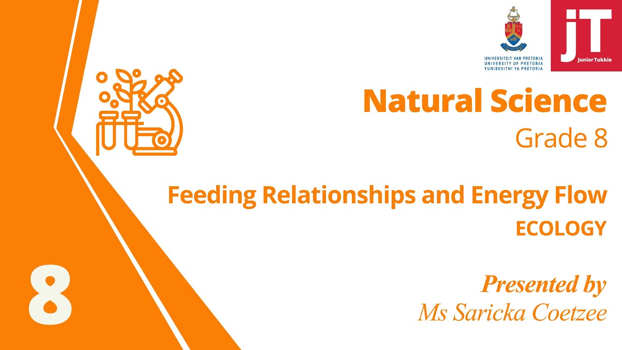 Gr 8 Natural Science - Ecology - Feeding Relationships and Energy Flow