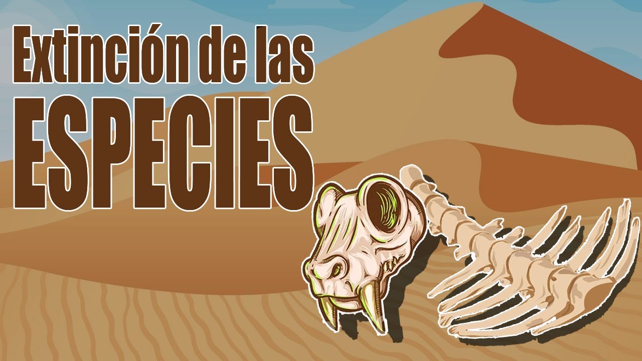 La EXTINCIÓN de especies. Video para primaria