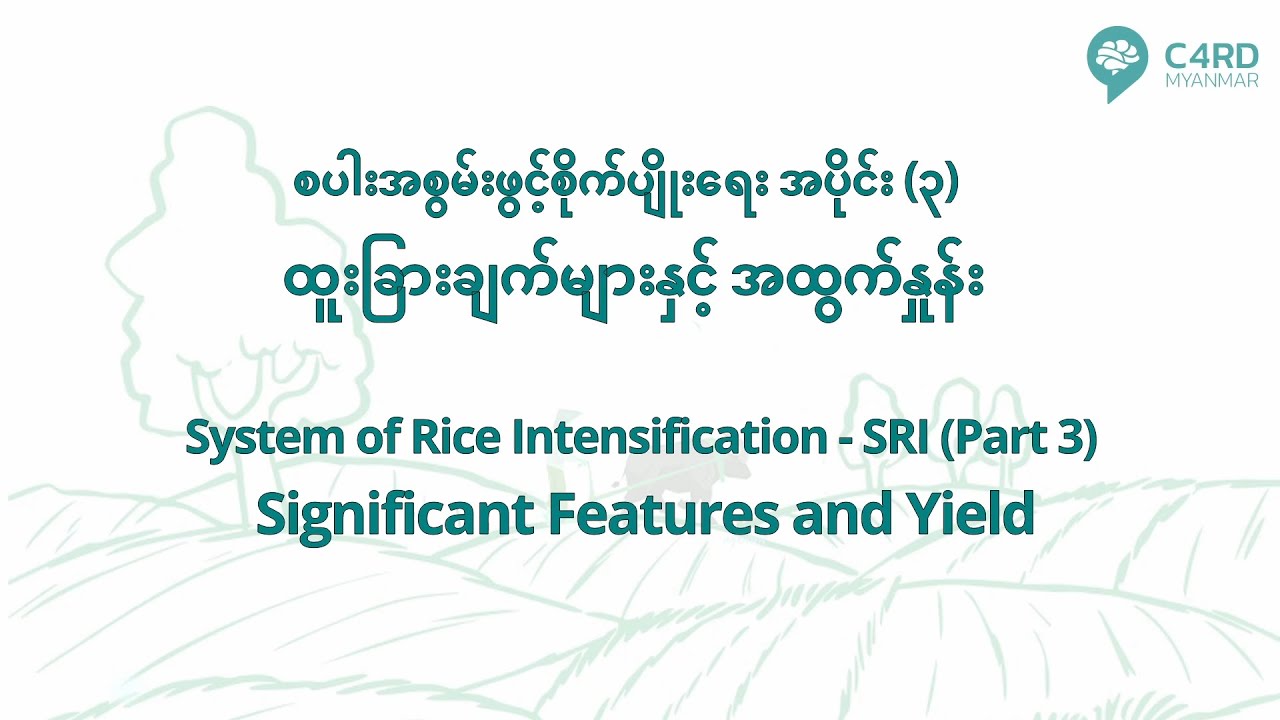 'စပါးအစွမ်းဖွင့်စိုက်ပျိုးရေး' အပိုင်း (၃)
