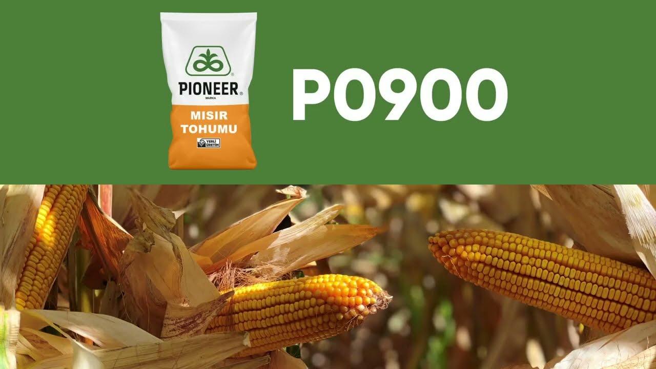 P0900 Sizlerle