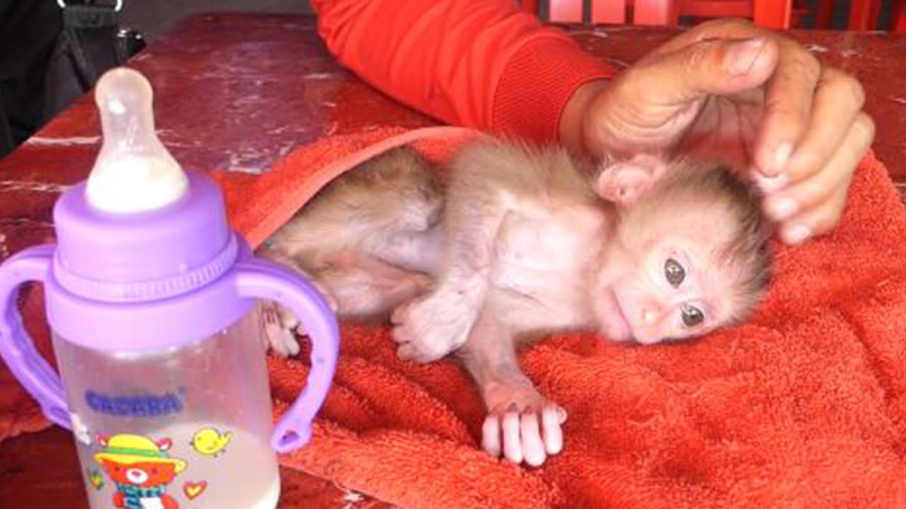 Caring for an orphan with a physical illness is not as easy as you might think.-Bon Bon Baby