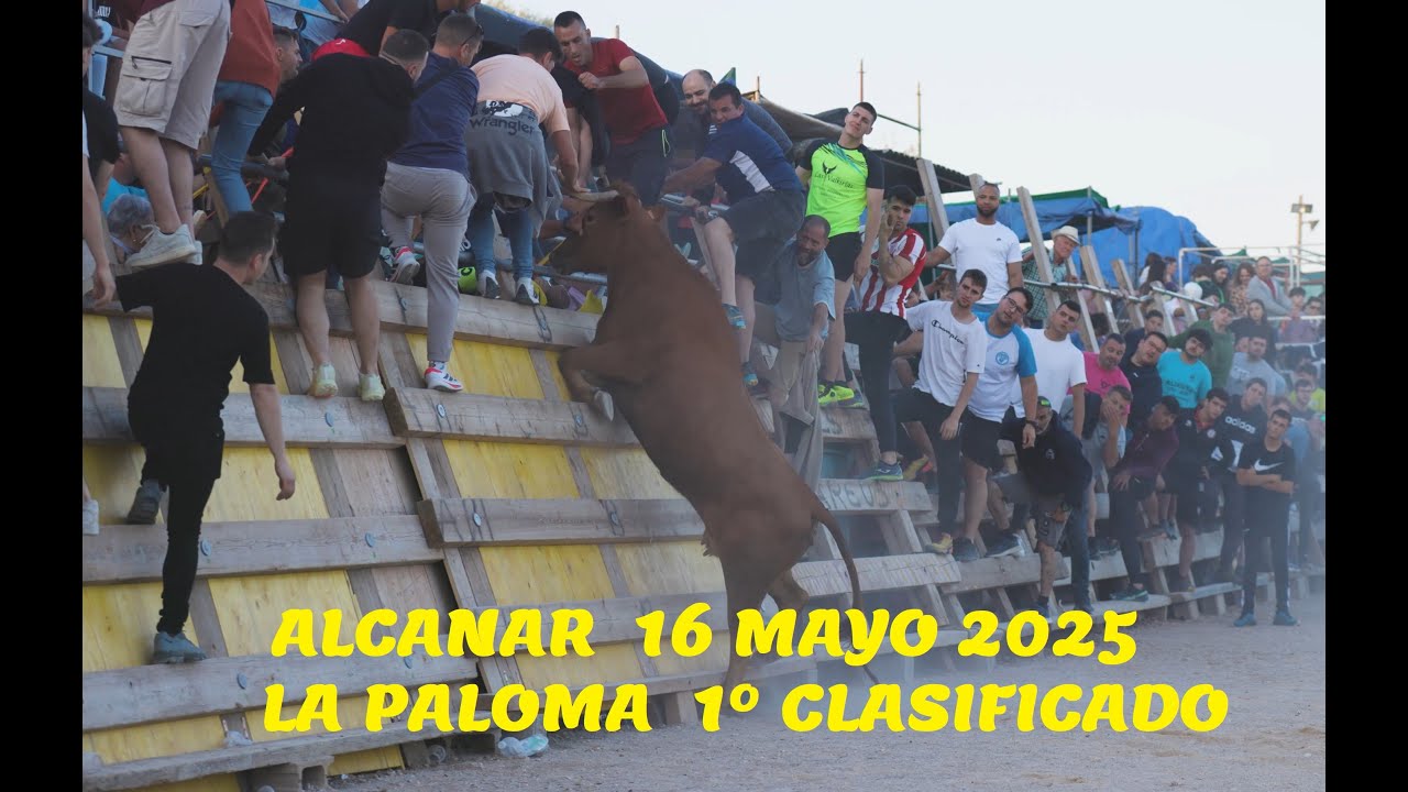🏆 LA PALOMA TRIUNFA EN ALCANAR 2025