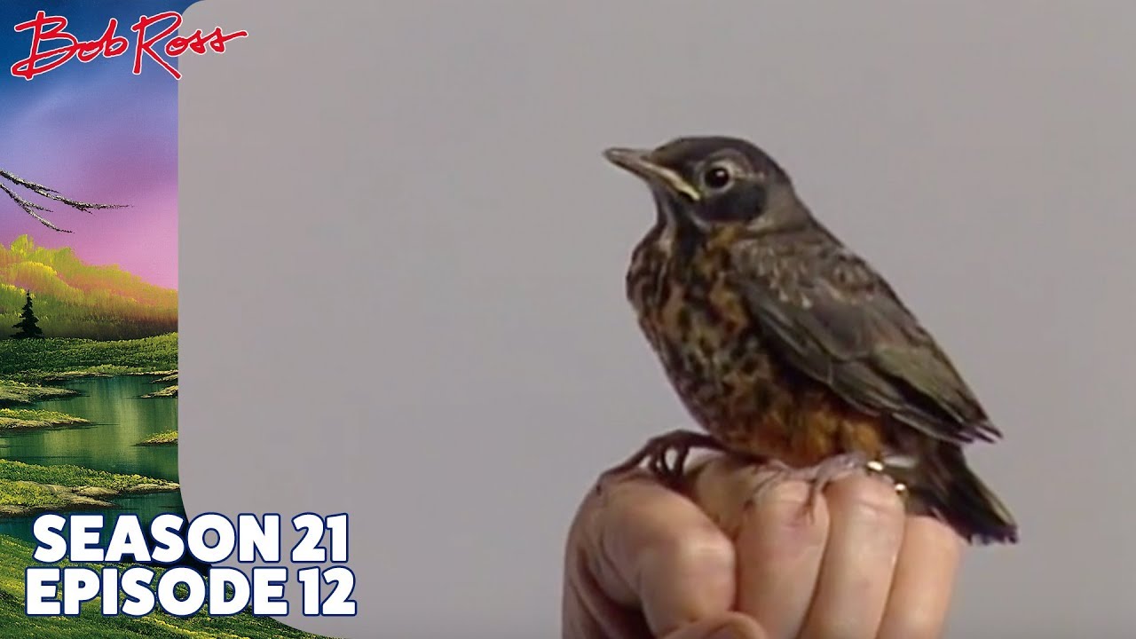 Bob Ross - Lone Mountain (Season 21 Episode 12)