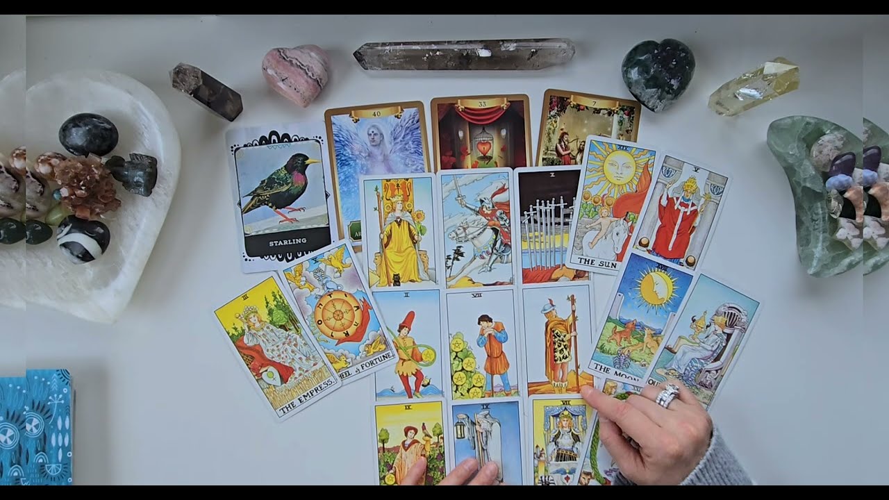 Taurus ♉️ I February Reading: A Whole New World