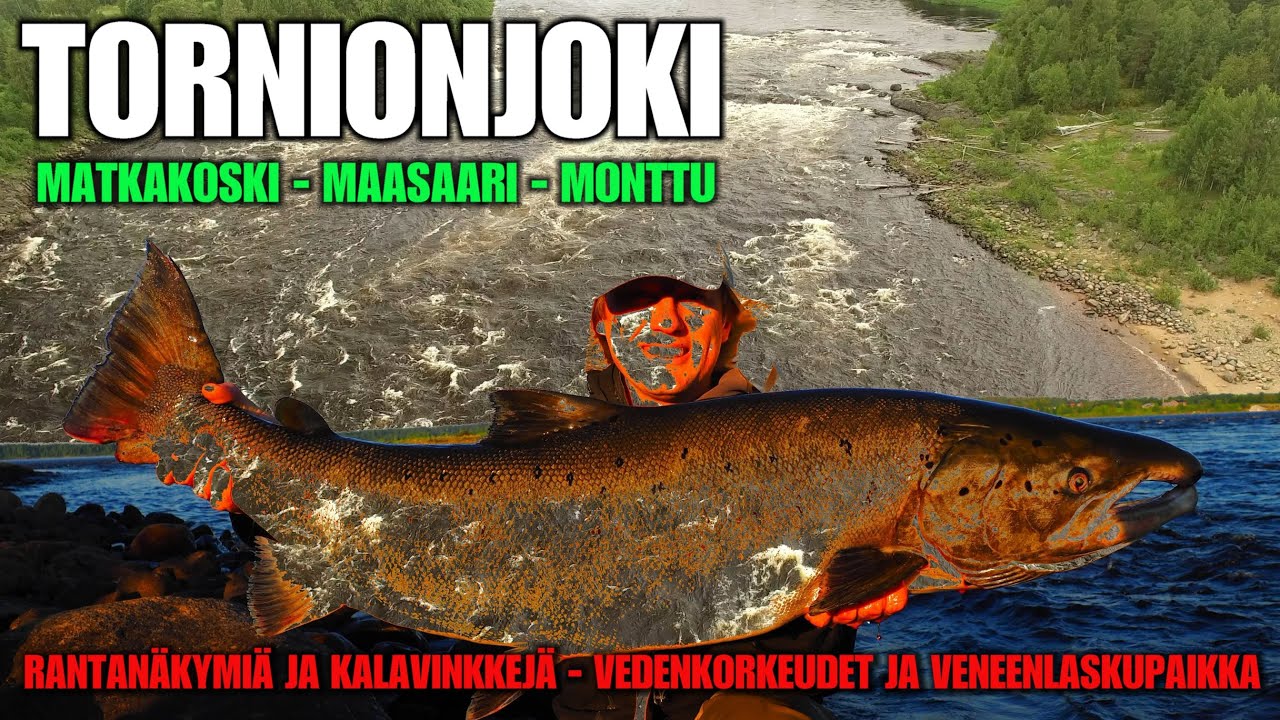 TORNIONJOKI - Matkakoski ja Maasaari Vinkit ja Näkymät ( +Vedenkorkeus ja Matkakosken veneenlasku )