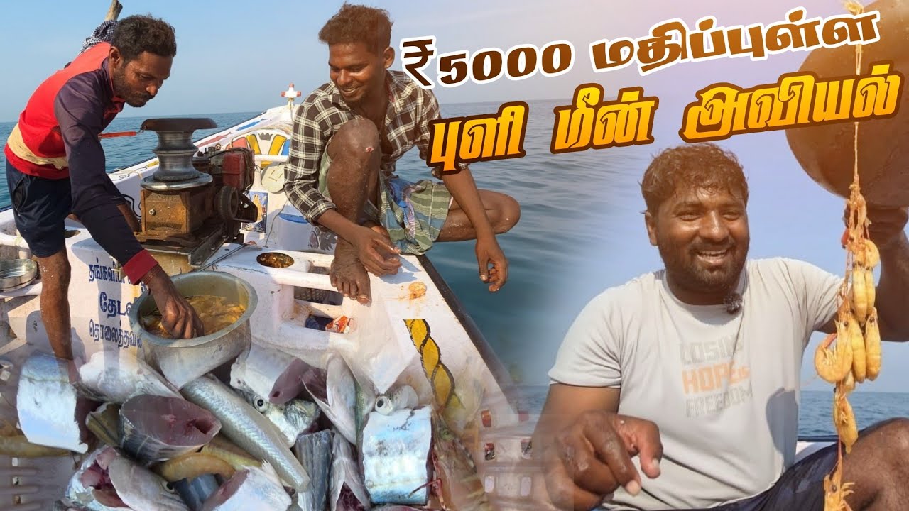 கடல் மேல 5000 ₹ மதிப்புள்ள புளி மீன் அவியல் குழம்பு Tamarind fish worth ₹ 5000 on the sea