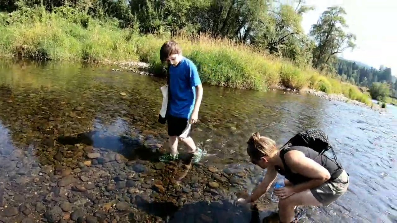 Rock hunt Washington state, Gray's river