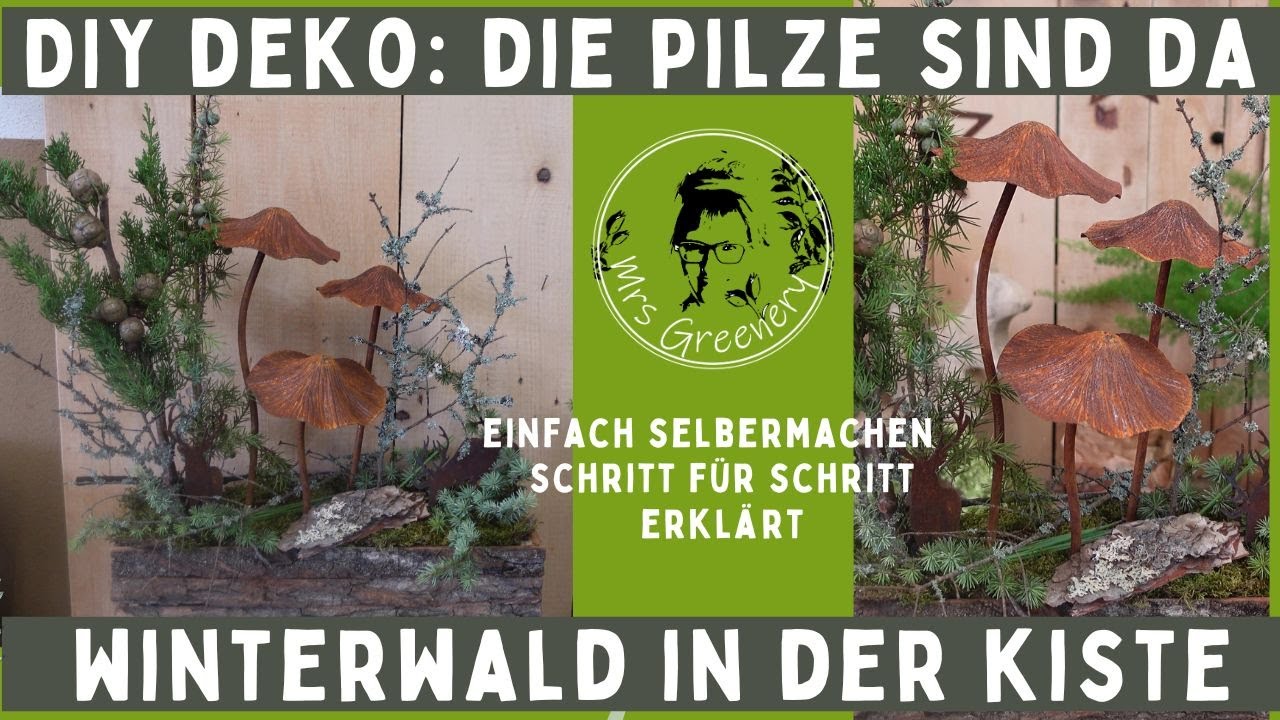 DIY Naturwald in der Kiste: Herbst- und Winterdeko einfach selbermachen!