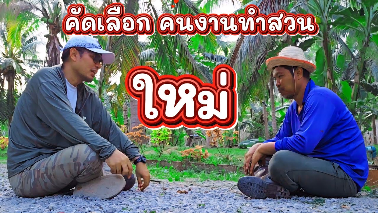 การคัดเลือก คนงานทำสวน 