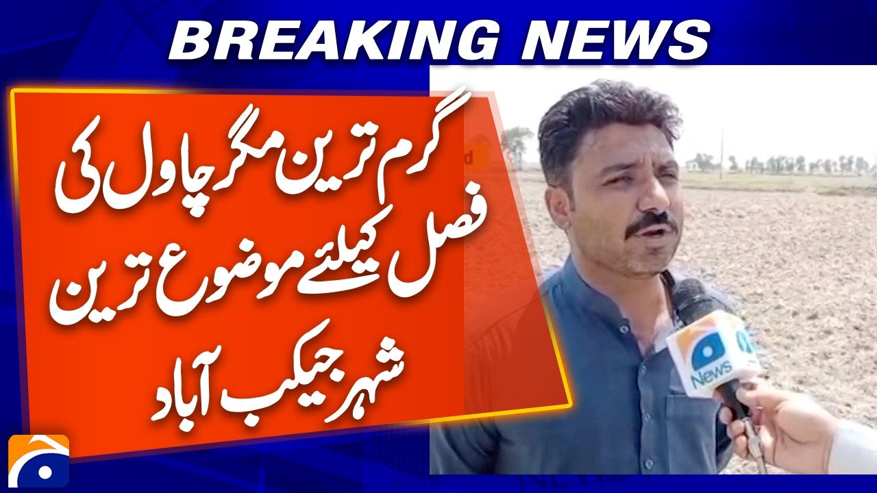 Extreme Heat Hits Jacobabad | Rice Farmers Face Major Challenges