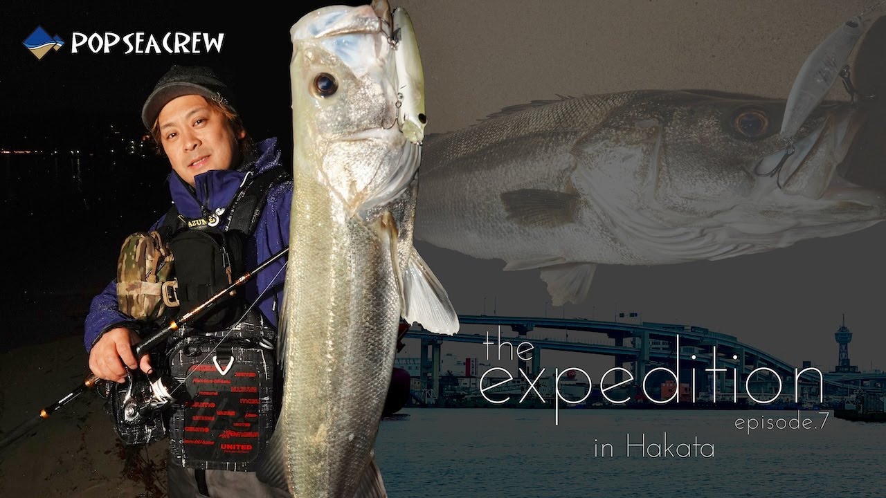 博多湾ランカー出現！タダ巻きで食わない時の必釣法！！［the expedition ep.7］